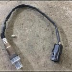 oxygen sensor