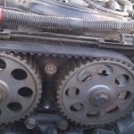 Timing belt with belt