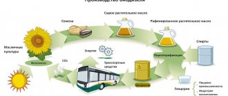 biodiesel production scheme