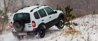 Tires for Niva Chevrolet winter