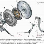 clutch device