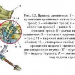 Устройство сцепления